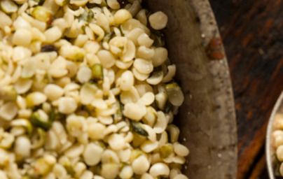 Konoplja in konopljina semena